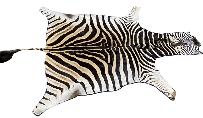 Zebra Hide Unbacked-Leather Trim only