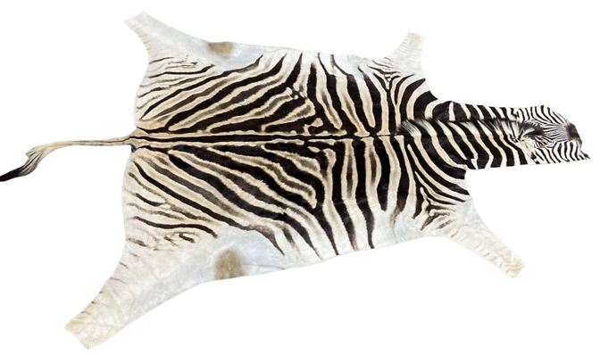 Zebra Hide Unbacked-No Trim
