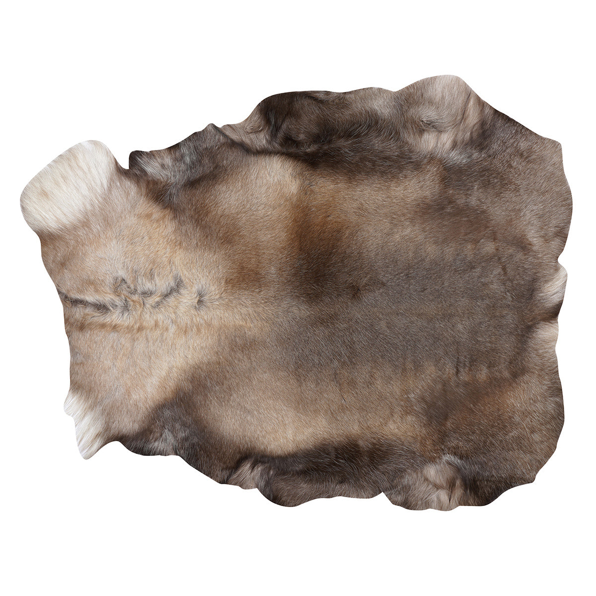 Caribou Hide