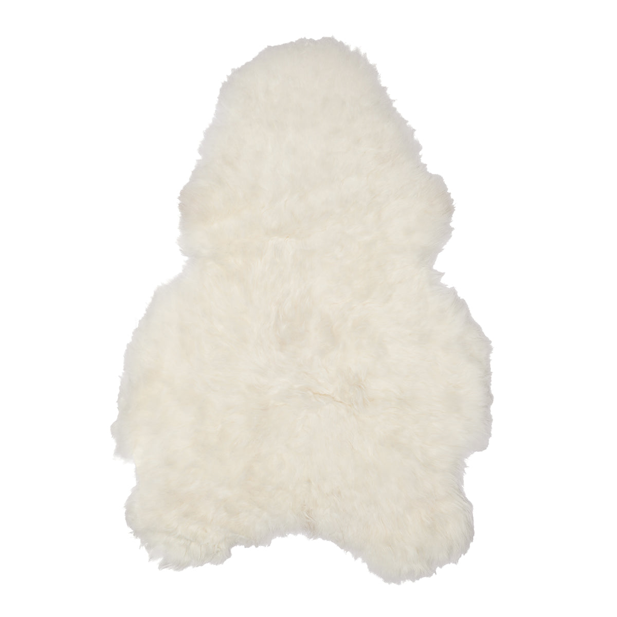Icelandic Sheep Ivory