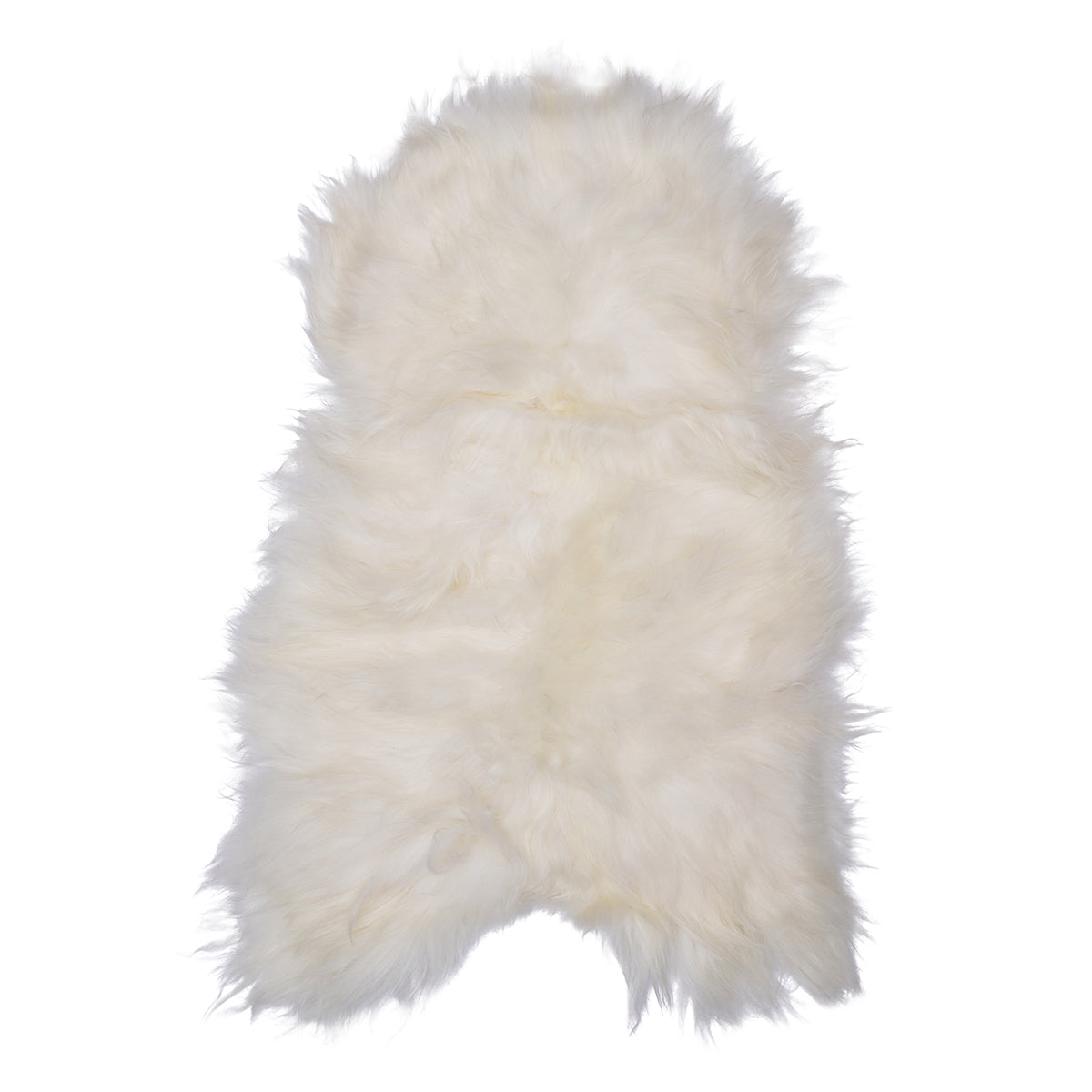 Icelandic Sheep Ivory