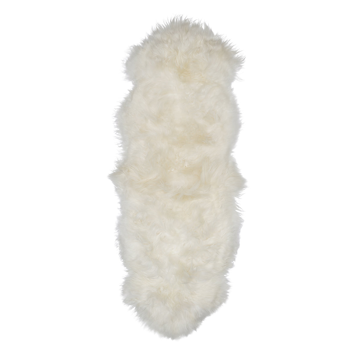 Icelandic Sheep Ivory