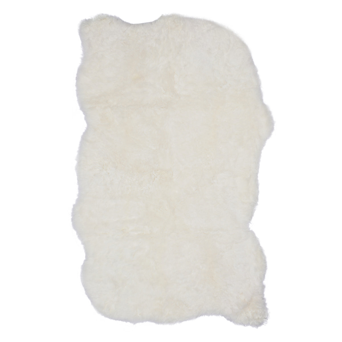 Icelandic Sheep Ivory