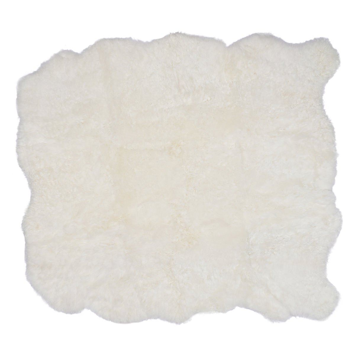 Icelandic Sheep Ivory