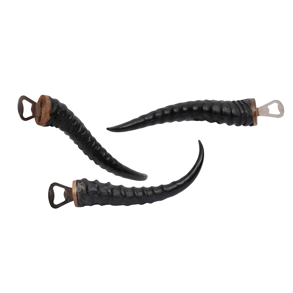 Springbok Horn Bottle Opener
