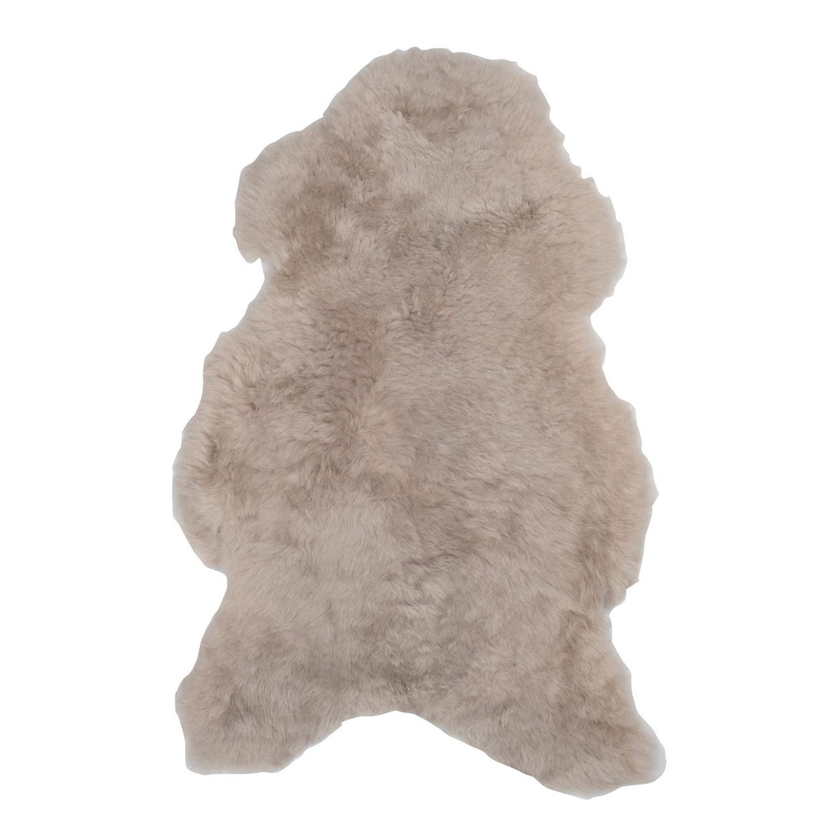Icelandic Sheep Gypsum