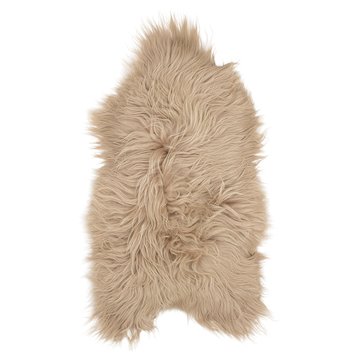 Icelandic Sheep Gypsum