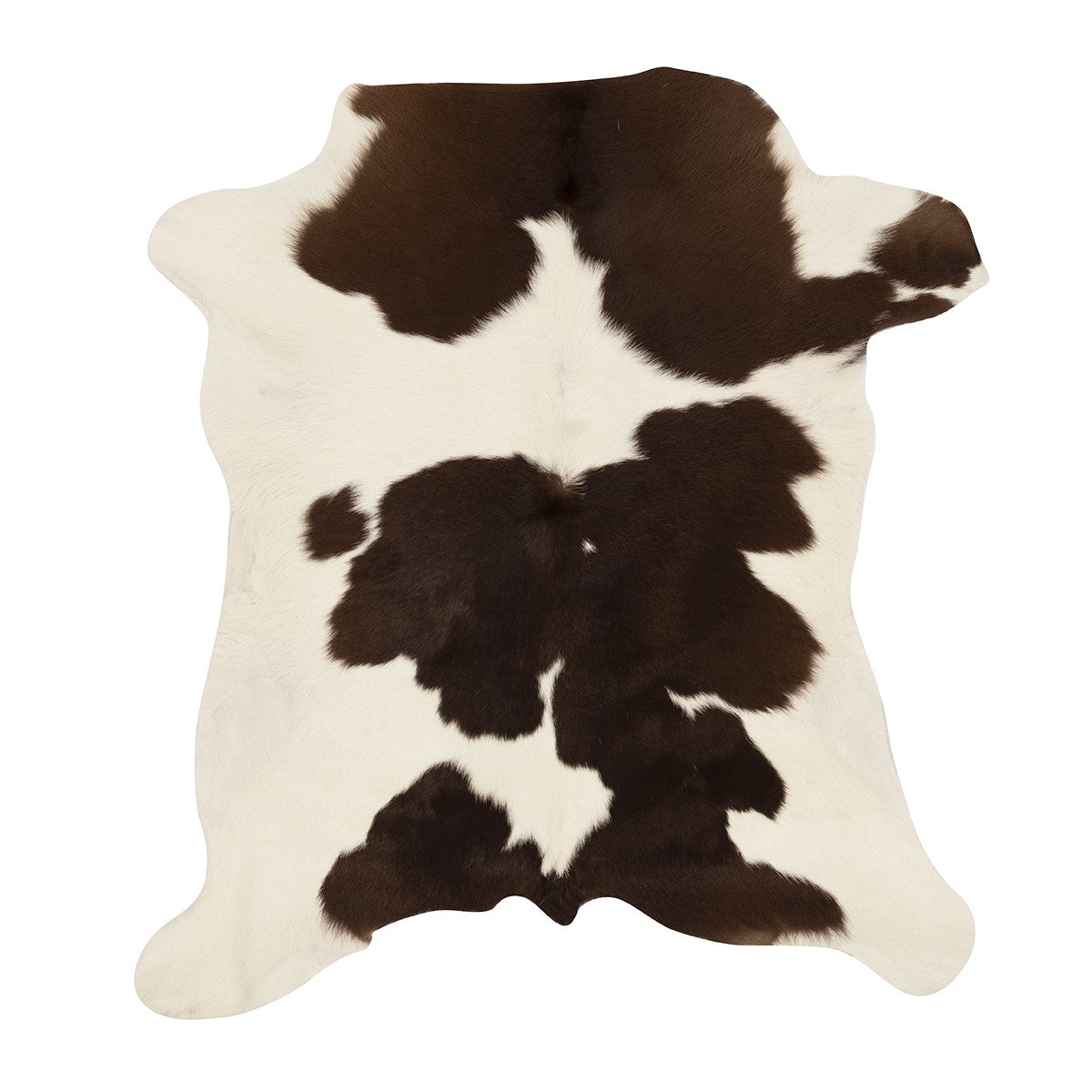 Chocolate & White Cloudy Calf