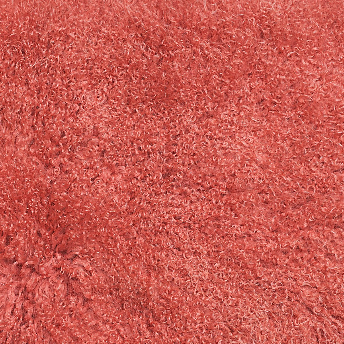 Coral Tibetan Lamb