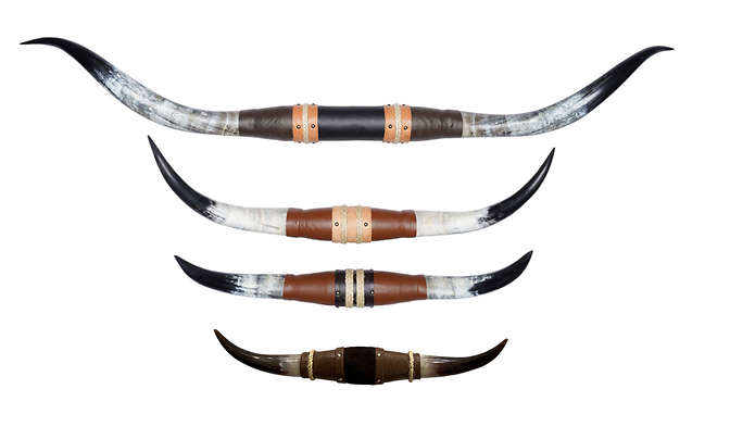 Longhorn Sets