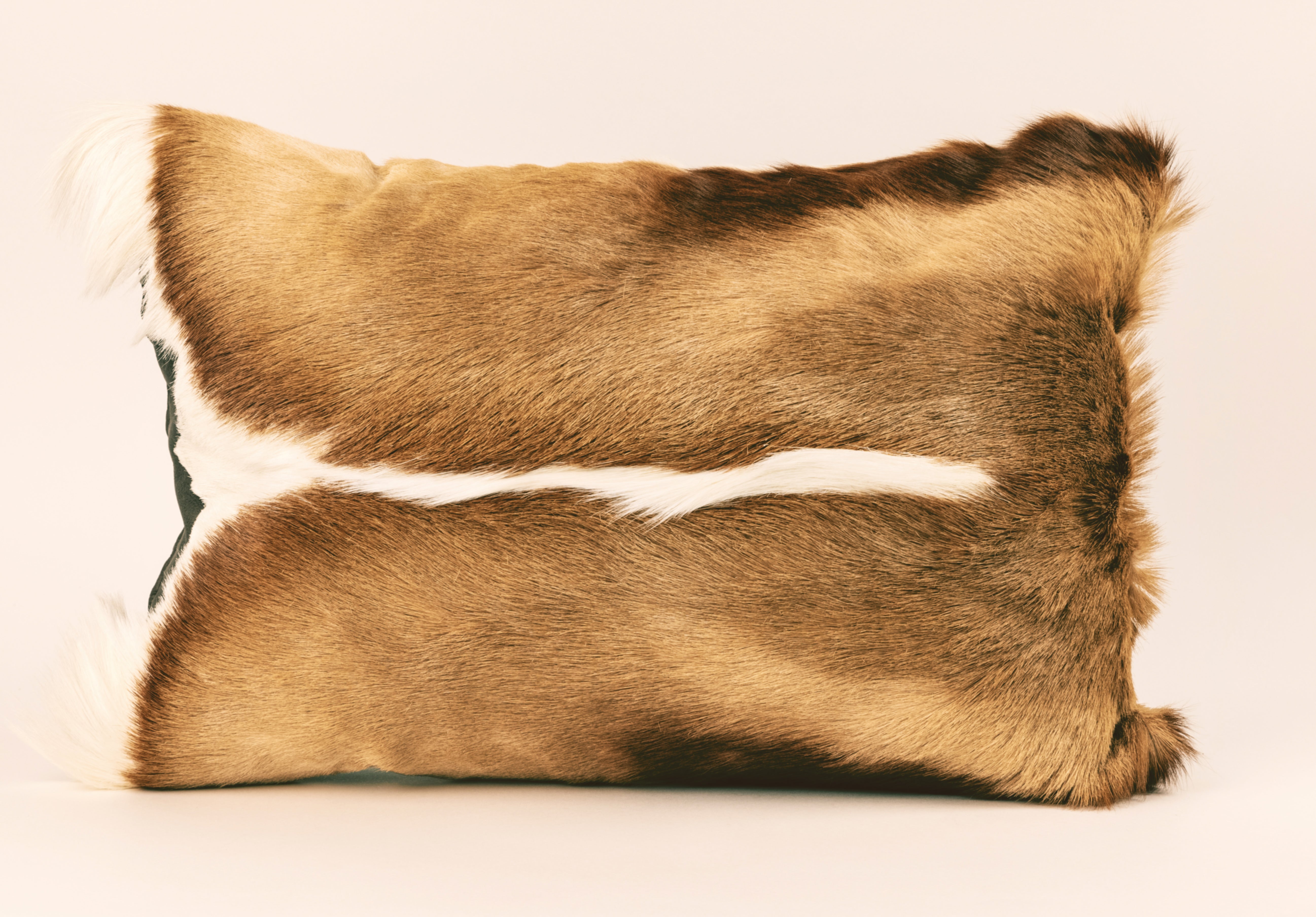 Springbok full front fur with brown leather back