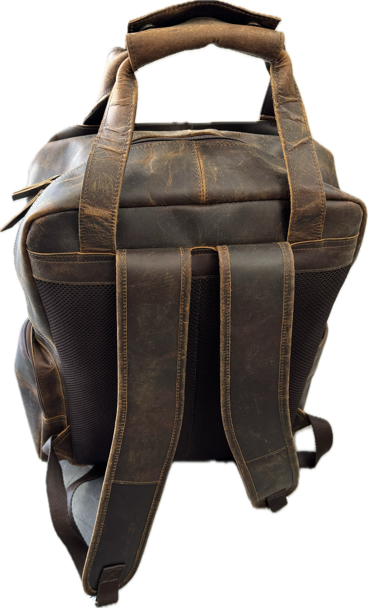 Safari Backpack