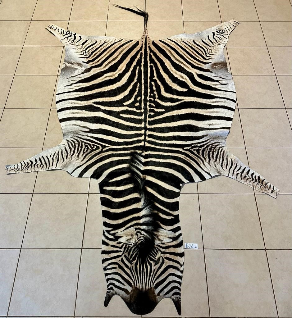 Zebra Hide Unbacked-No Trim