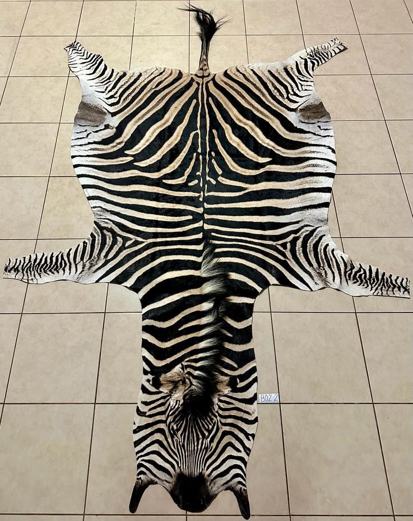 Zebra Hide Unbacked-No Trim