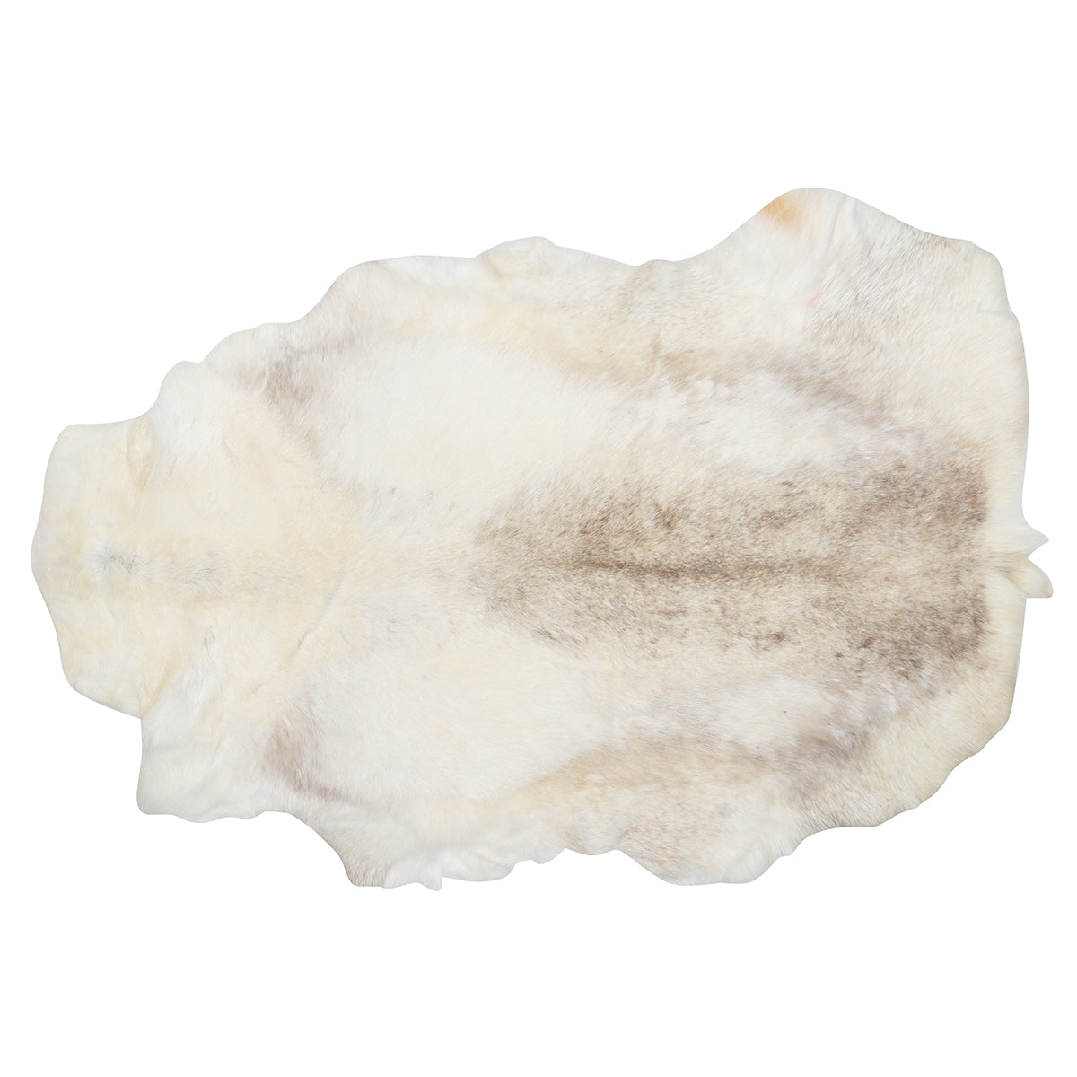 Caribou Hide