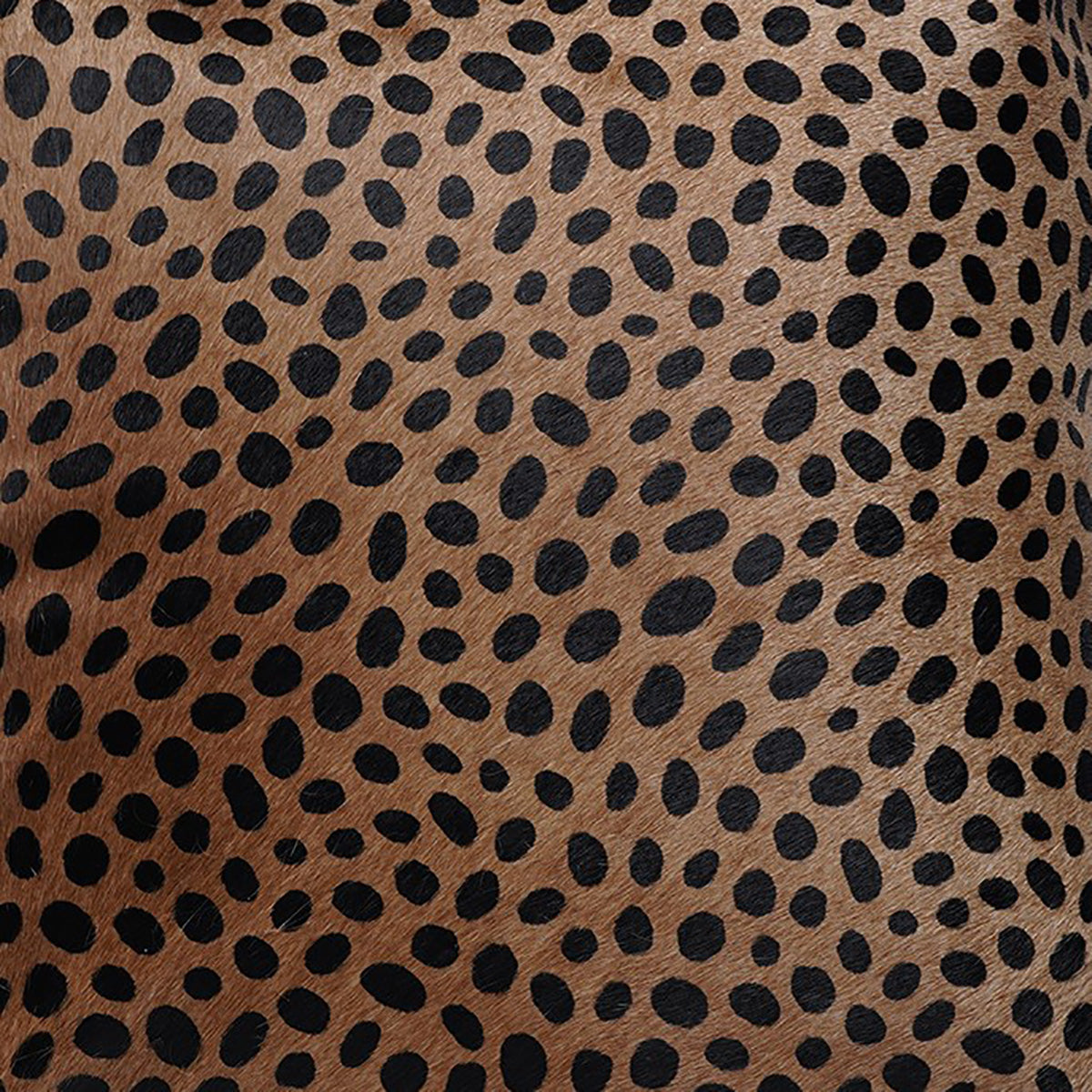 Cheetah Print