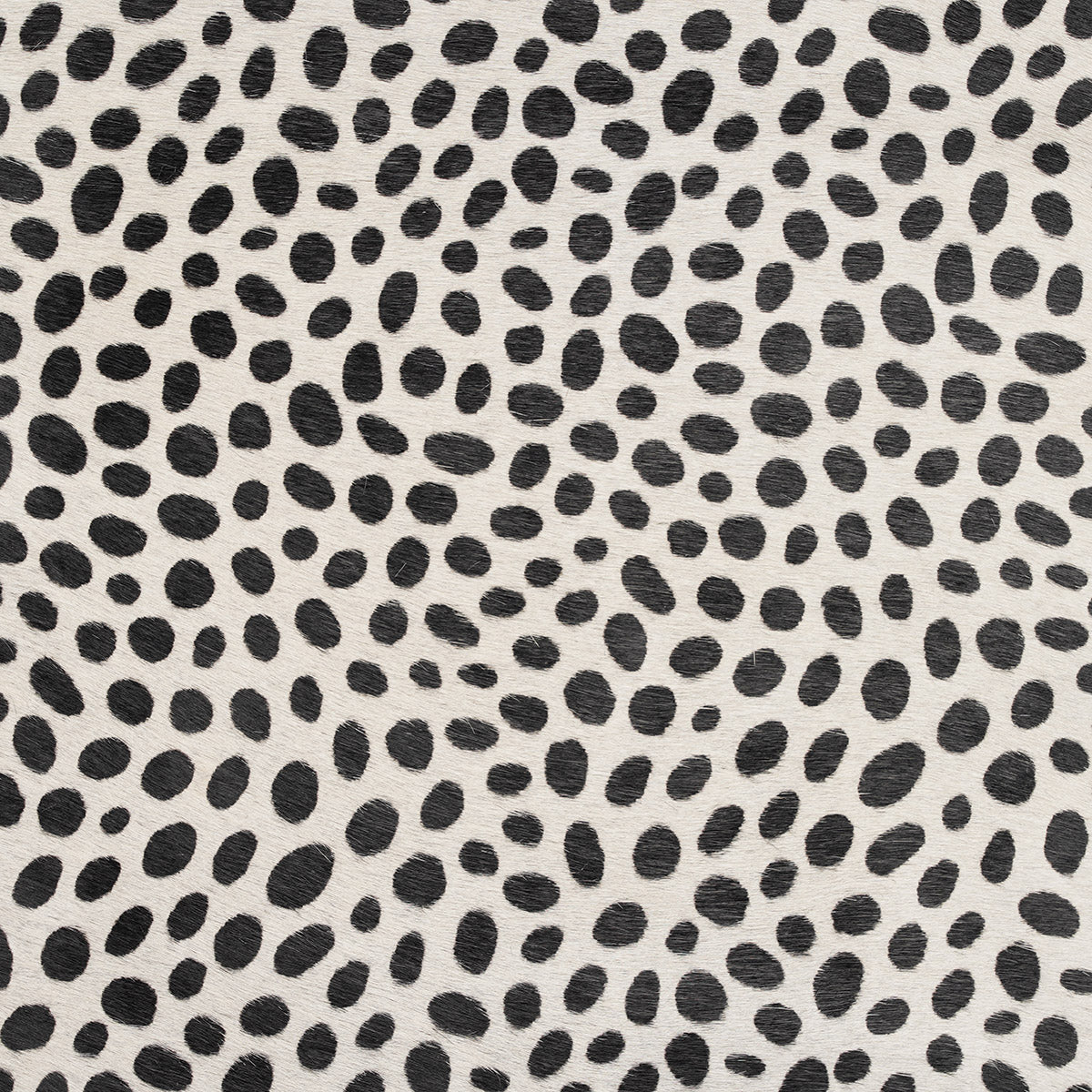 Cheetah Print