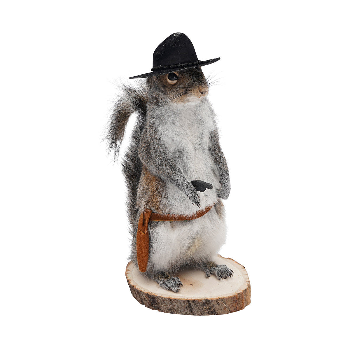 Cowboy Squirrel