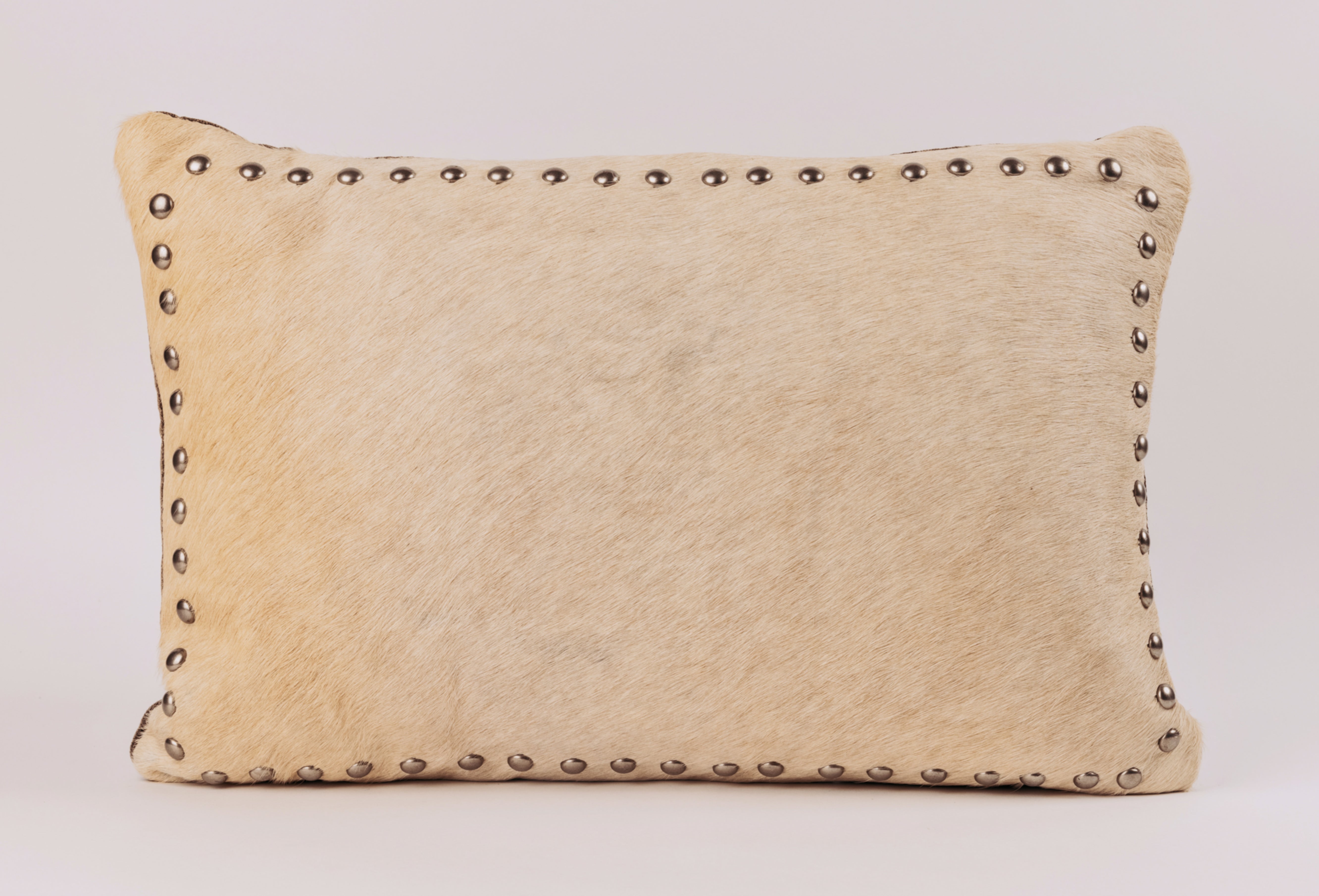 Beige hair on cow with silver spots
